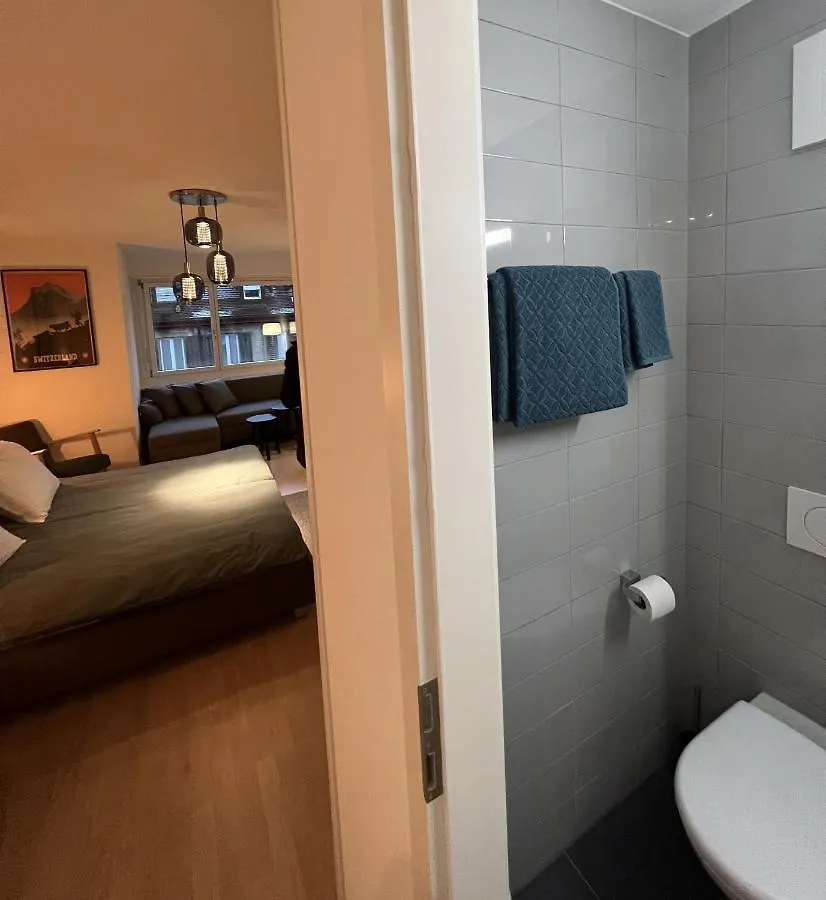 Swiss Art Apartment City Center Zurich